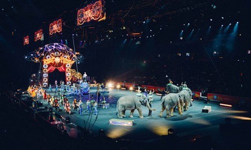 LIÊN HOAN XIẾC THẾ GIỚI 2019