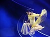SHOW CA NHẠC 